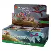 Bloomburrow Play Booster Box Icon
